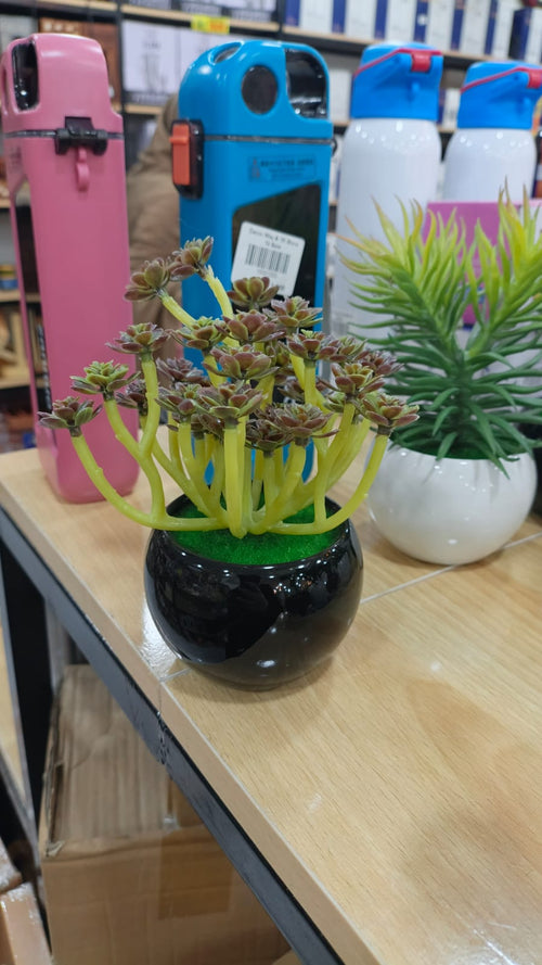Artificial Succulent Mini Plant in Black Pot