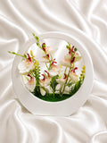 Artificial Orchid Floral Arrangement in White Round Planter
