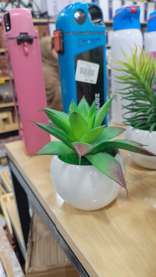 Artificial Aloe Vera Succulent Plant in White Pot